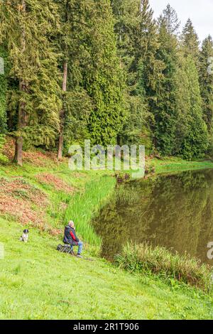 An angler fishing in Soudley Ponds at Lower Soudley in the Forest of Dean, Gloucestershire, England UK Stock Photo