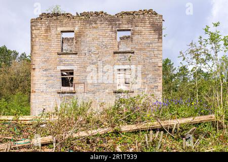 The old pump and engine house (built c1840) for Lightmoor Colliery at Ruspidge (Cinderford) in the Forest of Dean, Gloucestershire, England UK Stock Photo