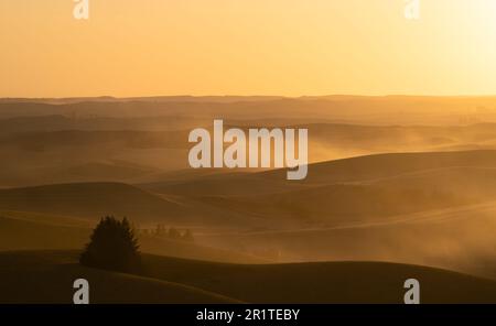 A stunning sunrise illuminates the horizon over a rolling landscape, with silhouetted trees standing in sharp contrast to the brightening sky Stock Photo