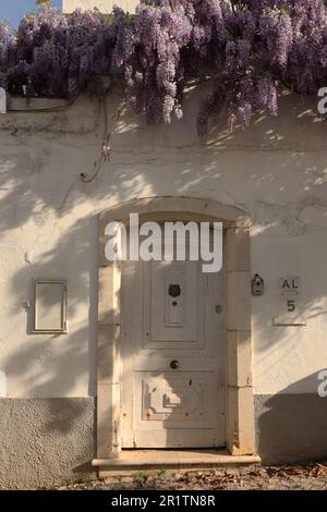 Wisteria growing over a doorway in a wall, Old Town, Lagos, Algarve, Portugal Stock Photo