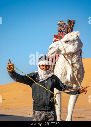 Local tuareg man walking and posing with his white dromedary camel decorated with red cloth saddle in the Sahara Desert with sand dunes and blue sky. Stock Photo