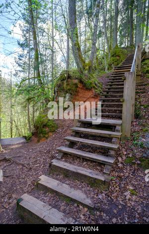 Wooden stairs on hiking trails. The beautiful forests of Latvia. Gauja ...