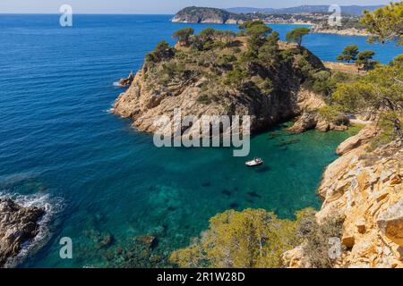 Nature in all its splendor: an experience for the senses. Costa Brava, near small town Palamos, Spain Stock Photo