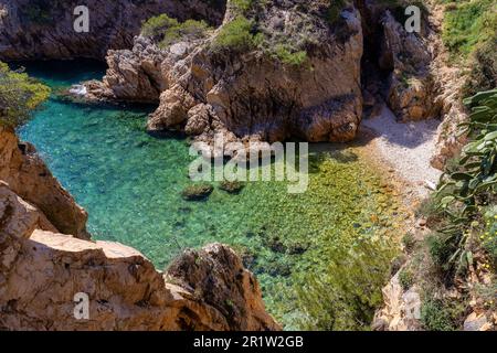 Nature in all its splendor: an experience for the senses. Costa Brava, near small town Palamos, Spain Stock Photo