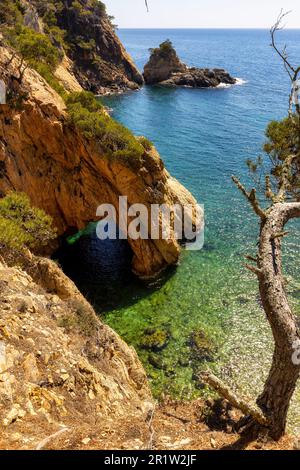 Nature in all its splendor: an experience for the senses. Costa Brava, near small town Palamos, Spain Stock Photo