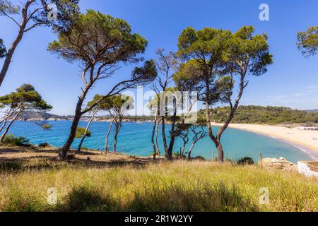 Nature in all its splendor: an experience for the senses. Costa Brava, near small town Palamos, Spain Stock Photo