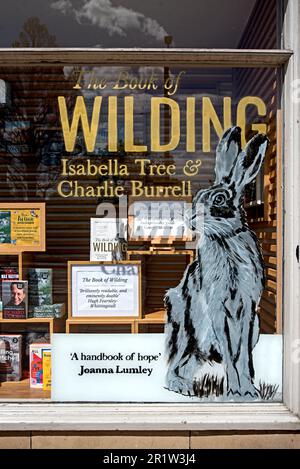 The Book of Wilding being advertised in the window of Waterstones bookshop in Princes Street, Edinburgh, Scotland, UK. Stock Photo