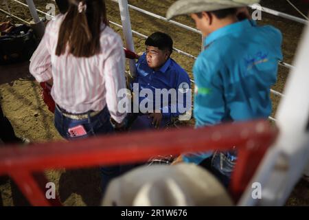 Cowboys, during the rodeo circuit at the Expo Ganadera de Sonora, on May 13, 2023 in Hermosillo, Mexico. Cowboy sport, horse riding and bull riding, strong circuit in Chihuahua, followed by Sonora and Baja California Mex. and neighboring US states. Rodeo is a traditional American extreme sport influenced by the history of Spanish cowboys and Mexican charros. riding bareback, wild ponies, wild cattle, steers, bulls, throwing the lasso, bullfighting. (© Photo by Luis Gutiérrez /Norte Photo)  Vaqueros, durante el circuito de rodeo en la Expo Ganadera de Sonora,  el 13 mayo de 2023 en Hermosillo, Stock Photo