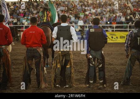 Cowboys, during the rodeo circuit at the Expo Ganadera de Sonora, on May 13, 2023 in Hermosillo, Mexico. Cowboy sport, horse riding and bull riding, strong circuit in Chihuahua, followed by Sonora and Baja California Mex. and neighboring US states. Rodeo is a traditional American extreme sport influenced by the history of Spanish cowboys and Mexican charros. riding bareback, wild ponies, wild cattle, steers, bulls, throwing the lasso, bullfighting. (© Photo by Luis Gutiérrez /Norte Photo)  Vaqueros, durante el circuito de rodeo en la Expo Ganadera de Sonora,  el 13 mayo de 2023 en Hermosillo, Stock Photo