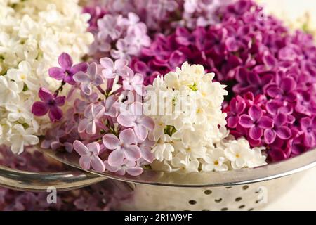 Colander with Beautiful fragrant lilac flowers near white tile Stock ...