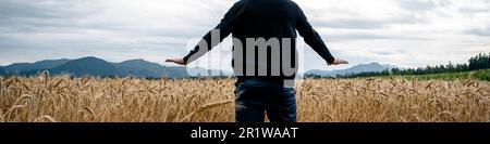View from behind of a man, a farmer, standing in the middle of olden wheat field holding his hands above the ripening ears. Wide view image. Stock Photo