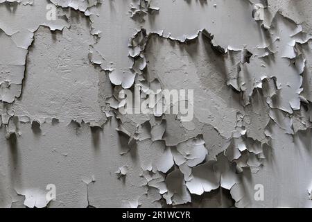 White cracked paint on the wall. Old painted wall. Grungy cracked white wall paint peeling off. Surface paint on the walls are damaged. Stock Photo