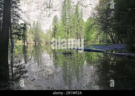 Trees reflection in Mirror Lake - Yosemite NP - California Stock Photo