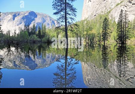 Reflection in Mirror Lake - Yosemite NP - California Stock Photo