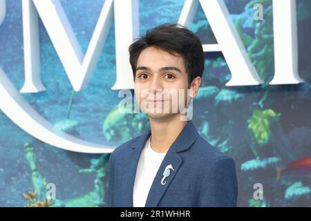 Alexander Molony, The Little Mermaid - UK Premiere, Leicester Square, London, UK, 15 May 2023, Photo by Richard Goldschmidt Stock Photo