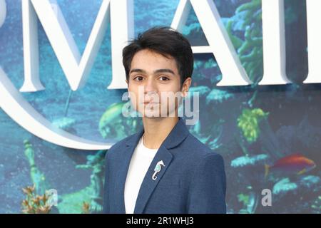 Alexander Molony, The Little Mermaid - UK Premiere, Leicester Square, London, UK, 15 May 2023, Photo by Richard Goldschmidt Stock Photo