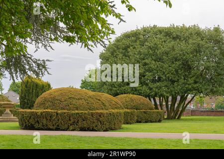 Boultham Park, Lincoln, Lincolnshire, seating, shelter, area, park bench, open spaces, greenery, trees, shaded, cover, woodland. park bench, trees. Stock Photo