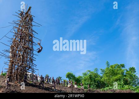 Vanuatu, Pentecost Island. Age-old ritual of land diving. Stock Photo