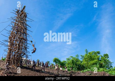 Vanuatu, Pentecost Island. Age-old ritual of land diving. Stock Photo