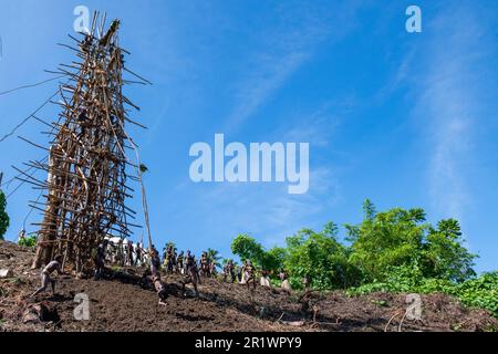 Vanuatu, Pentecost Island. Age-old ritual of land diving. Stock Photo