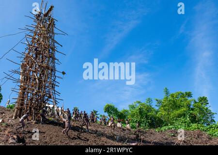 Vanuatu, Pentecost Island. Age-old ritual of land diving. Stock Photo