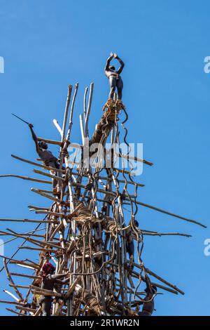 Vanuatu, Pentecost Island. Age-old ritual of land diving. Getting ready to jump. Stock Photo