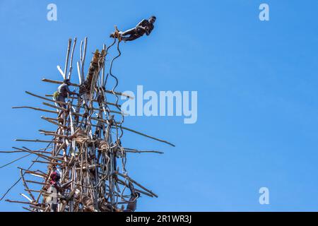 Vanuatu, Pentecost Island. Age-old ritual of land diving. Series 1 of 8. Stock Photo