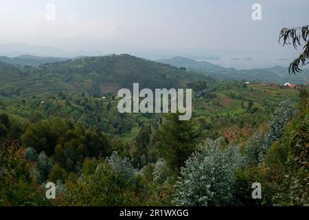 Cultivated hills and fields on the Congo Nile trail along the shores of Lake Kivu Stock Photo