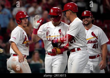 St. Petersburg, FL USA; St. Louis Cardinals catcher Andrew Knizner (7) hits  a home run during an MLB game against the Tampa Bay Rays on Thursday, Augu  Stock Photo - Alamy