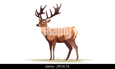 Vector Illustration of Deer isolated on white background Stock Vector ...