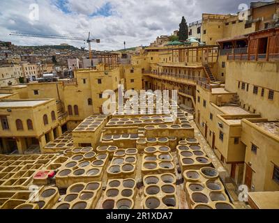 The traditional Chouara Tanneries in the Medina of Fez, Morocco, are still used today for processing animal skin for leather production, but here at t Stock Photo