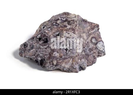 Pelitic Schist Rock isolated on White Background close up Stock Photo