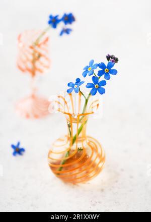 Still life with blue forget me not flowers in mini glass vases. (Myosotis sylvatica). Home interior and decor idea concept. Copy space. Stock Photo
