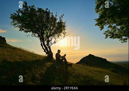 Man Reading Book Under Tree Against the Sunset Stock Photo