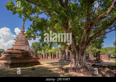 Wat Chang Lom, is a Buddhist temple complex (wat) in Sukhothai Historical Park, Sukhothai Province in the Northern Region of Thailand Stock Photo
