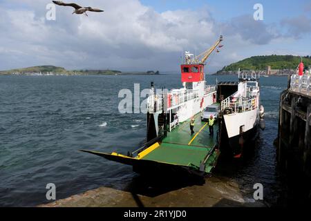 Oban, Scotland, UK. 16th May 2023.  A hive of activity at the Ferry terminal with passengers embarking Calmac ferries to the Hebridean Isles and disembarking back to the mainland. MV Loch Striven operates a service between Oban and Lismore. Disembarking a single car and a single foot passenger in Oban. Credit: Craig Brown/Alamy Live News Stock Photo