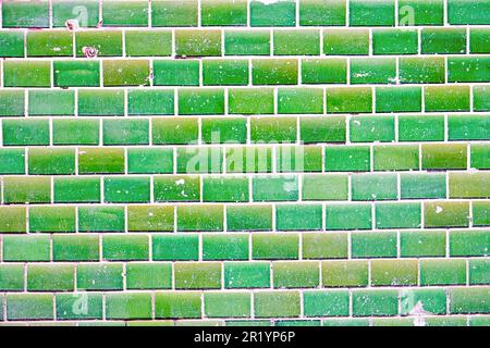 Background from a green tile wall Stock Photo