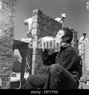 In the 1950s. A young female apprentice bricklayer drinks from a milkbottle in the sunshine during a break at work. The team of workers are seen on the construction site behind her.  At this time milk was sold and delivered in glass bottles or you could buy milk to bring home from the store in your own bottle.  Sweden 1951. Kristoffersson ref BB94-9 Stock Photo