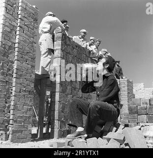 In the 1950s. A young female apprentice bricklayer drinks from a milkbottle in the sunshine during a break at work. The team of workers are seen on the construction site behind her.  At this time milk was sold and delivered in glass bottles or you could buy milk to bring home from the store in your own bottle.  Sweden 1951. Kristoffersson ref BB94-9 Stock Photo