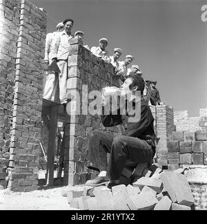 In the 1950s. A young female apprentice bricklayer drinks from a milkbottle in the sunshine during a break at work. The team of workers are seen on the construction site behind her.  At this time milk was sold and delivered in glass bottles or you could buy milk to bring home from the store in your own bottle.  Sweden 1951. Kristoffersson ref BB95-1 Stock Photo