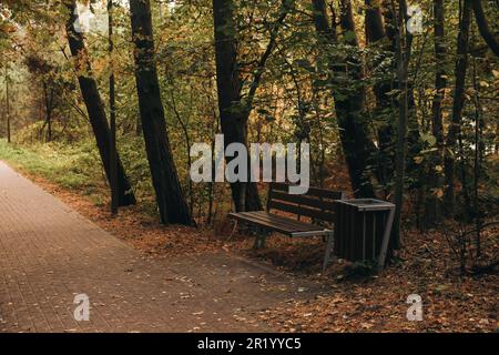 Many beautiful trees, bench and pathway in autumn park Stock Photo