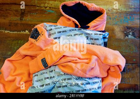 Camp david 2024 hoodie orange