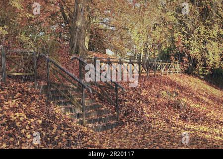 Stone stairs and fallen autumn leaves in park on rainy day Stock Photo