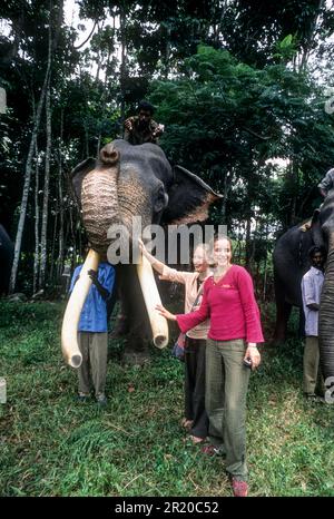 Topslip Tourism - Vinayaka Chathurthi was celebrated at Chinnar and  Kozhikamudhi elephant camps in Top Slip, Anamalai Tiger Reserve