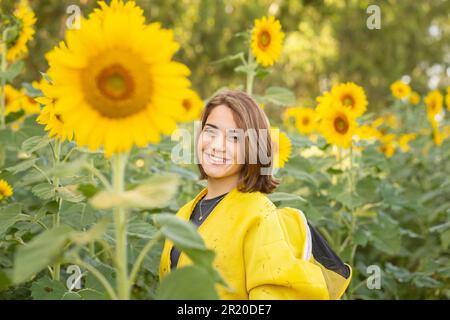 Bela Vista de Goias, Goias, Brazil – May 11, 2023: A beekeeper in the characteristic clothes, visiting a sunflower plantation. Stock Photo