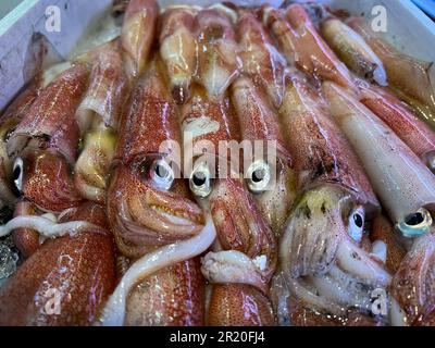 Fresh squid chilled on ice for sale at the supermarket Stock Photo