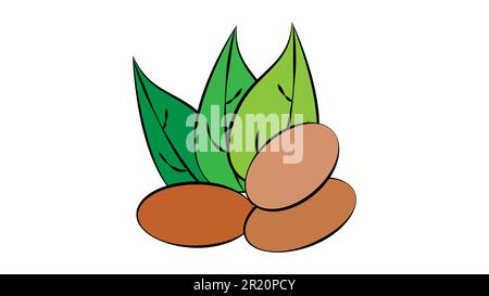 nuts on a white background, vector illustration. nuts lie on the ground, under green oblong leaves. nuts for food, ground product, farming, eco-friend Stock Vector