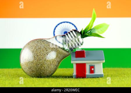 Plant growing inside the light bulb, miniature house on the grass and India Flag. Renewable energy. Electricity prices, energy saving in the household Stock Photo