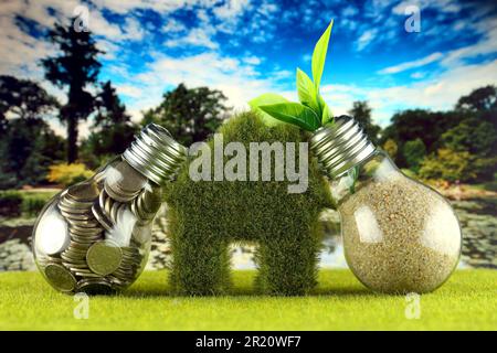 Coins inside the light bulb, plant growing inside the light bulb and miniature house with grass. Green eco renewable energy concept. Electricity price Stock Photo