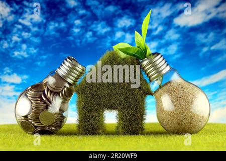 Coins inside the light bulb, plant growing inside the light bulb and miniature house with grass. Green eco renewable energy concept. Electricity price Stock Photo